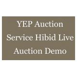 Hibid Live Auction Demo And How To