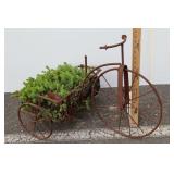 Ready To Roll Tricycle Seedum Plant, 20"t.