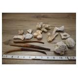 Assorted Aquamarine, Coral, Seed Pods