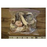 Bag Of Assorted Shells
