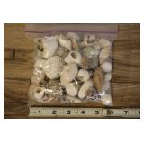 Bag Of Assorted Shells