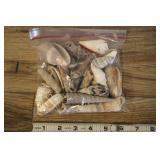 Bag Of Assorted Shells