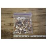 Bag Of Assorted Shells