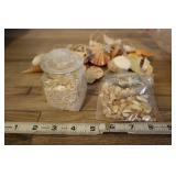 Shell Wind Chimes, Sand Jar, Cabo Mexico Sand