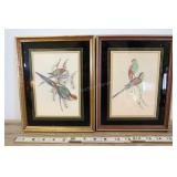 Framed Bird Art Prints, 7.5"w Each
