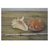 Conch Shell And Abalone Shell, 6" Ea