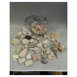Shells And Coral Assortment With Glass Fish Bowl.