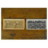 Stereoscopic Cards, 2 Cotton Plantation Cards;
