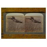 Stereoscopic Card, Harvesting In Walla Walla, Wa.;