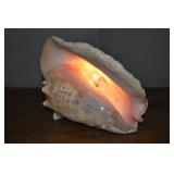 Conch Shell Light.