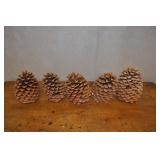 Set Of 5 Large Pine Cones 6 Inches Tall.