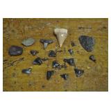 Sharks Teeth, Arrowhead And Stones Sharks Teeth, Arrowhead And Stones
