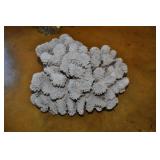White Coral, 7 X 7 X 4.5 White Coral, 7 X 7 X 4.5