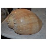 Seashell Seashell