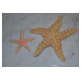 Starfish Seashells