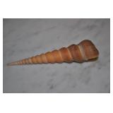 Seashell Seashell