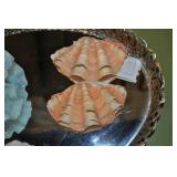 Seashells 4" Seashells 4"