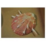 Seashell, Cherry Jewel Box, Chama Sarda Seashell, Cherry Jewel Box, Chama Sarda