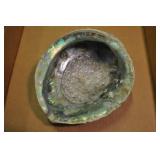 Abalone Shell, Archaeogastropoda 8" Abalone Shell, Archaeogastropoda 8"