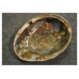 Abalone Shell, Archaeogastropoda 8 1/2" Abalone Shell, Archaeogastropoda 8 1/2"