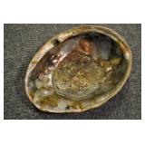 Abalone Shell, Archaeogastropoda 8 1/2"