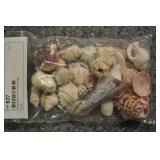 Seashells, Assorted Bag Seashells, Assorted Bag