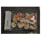 Seashells, Assorted Bag Seashells, Assorted Bag