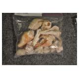 Seashells, Assorted Bag Seashells, Assorted Bag