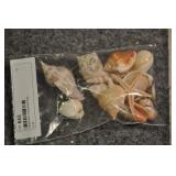 Seashells, Assorted Bag Seashells, Assorted Bag