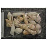 Seashells, Assorted Bag Seashells, Assorted Bag