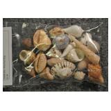 Seashells, Assorted Bag Seashells, Assorted Bag