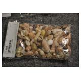 Seashells, Assorted Bag Seashells, Assorted Bag
