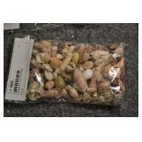 Seashells, Assorted Bag