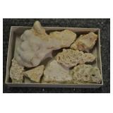 Coral, Assorted Coral, Assorted