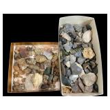 Collection of Fossil Stones, Mixed Artifacts