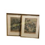 Pair of Large Framed Botanical Engravings