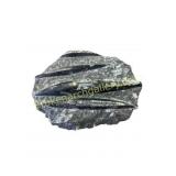 Polished Orthoceras Fossil Cluster on Matrix