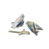 Blue Kyanite Blades in Quartz Matrix Specimens