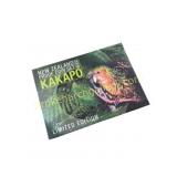 2009 New Zealand Proof Coin Set