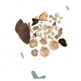 Fossil and Mineral Collection