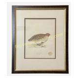 4 Henry L. Meyer Bird Prints