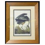 Great Blue Heron, after John James Audubon