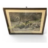 Framed Animal Illustration Print