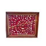 Framed Native American Arrowhead Collection