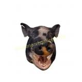 Open Mouth Feral Wild Boar Taxidermy Mount
