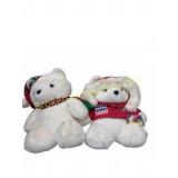 Santabear and Polar Club Plush Lot