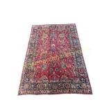 Persian Style Wool Area Rug