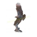 Bronze Eagle, Gerald Balciar