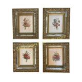 Lot of Four Botanical Prints