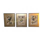 Three Framed Bird Prints